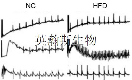 图片1_wm.jpg