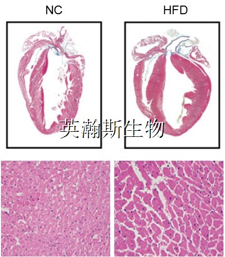 图片2_wm.jpg